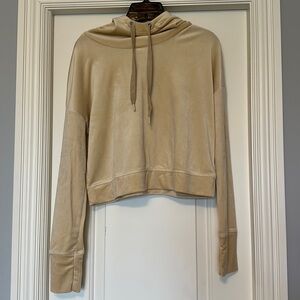 Aerie Tan Velour Hooded Sweatshirt